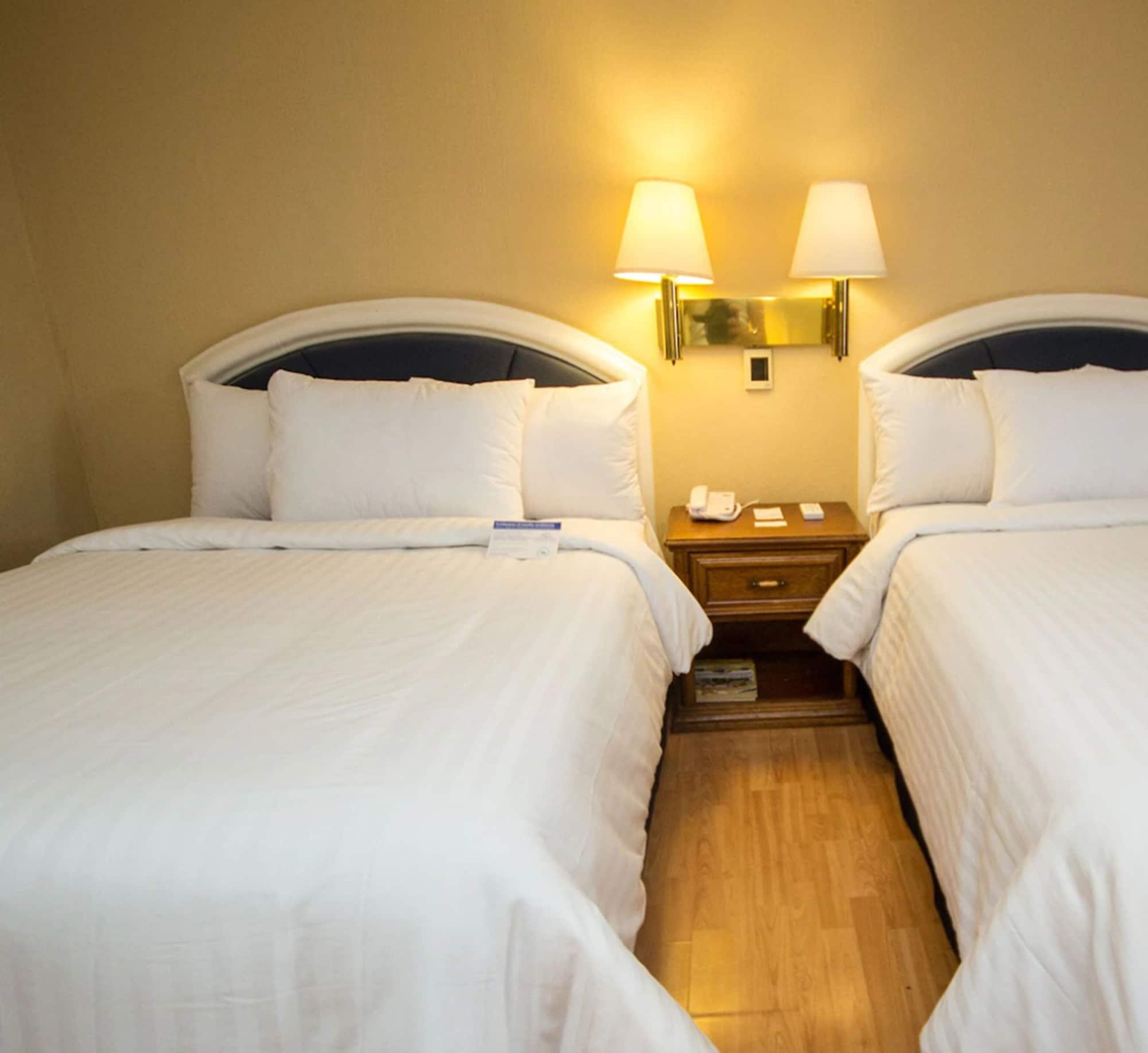 Hotel Gran Plaza & Convention Center Guanajuato Buitenkant foto